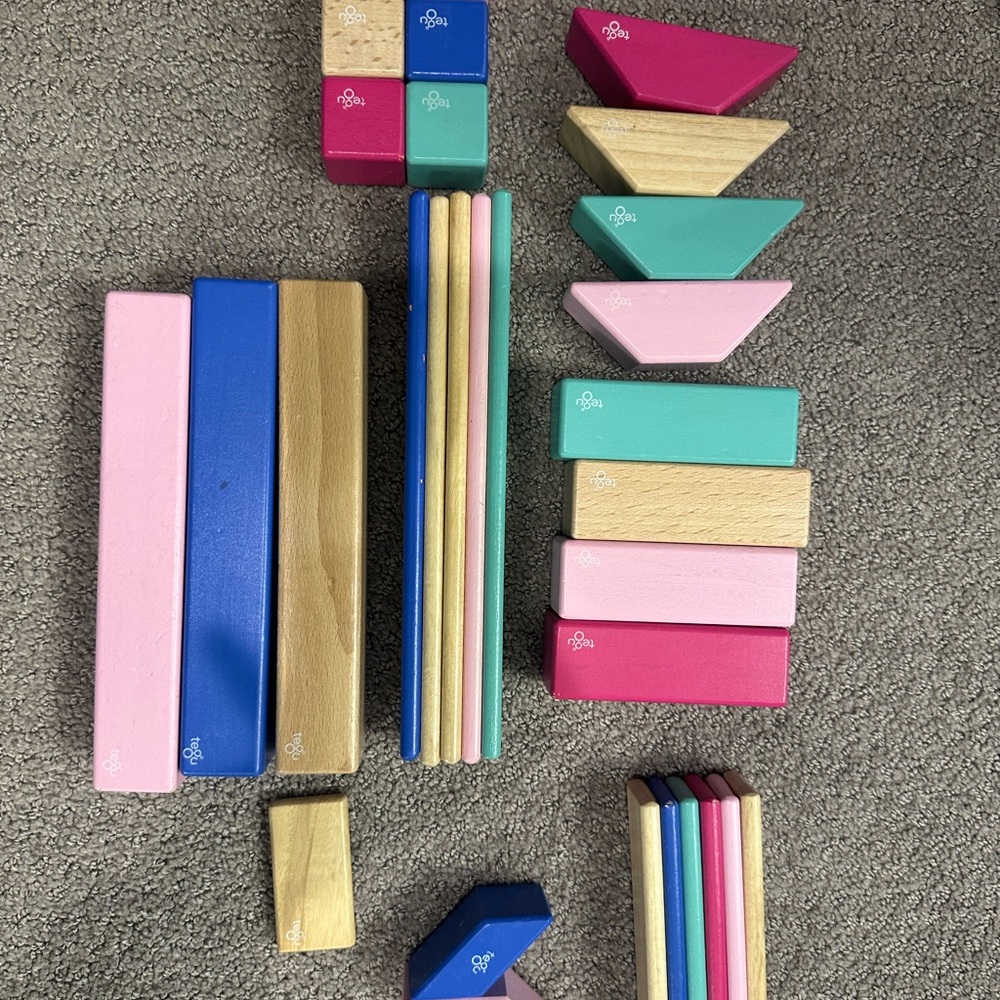 Tegu Colorful Wooden magnetic  Building Blocks Set